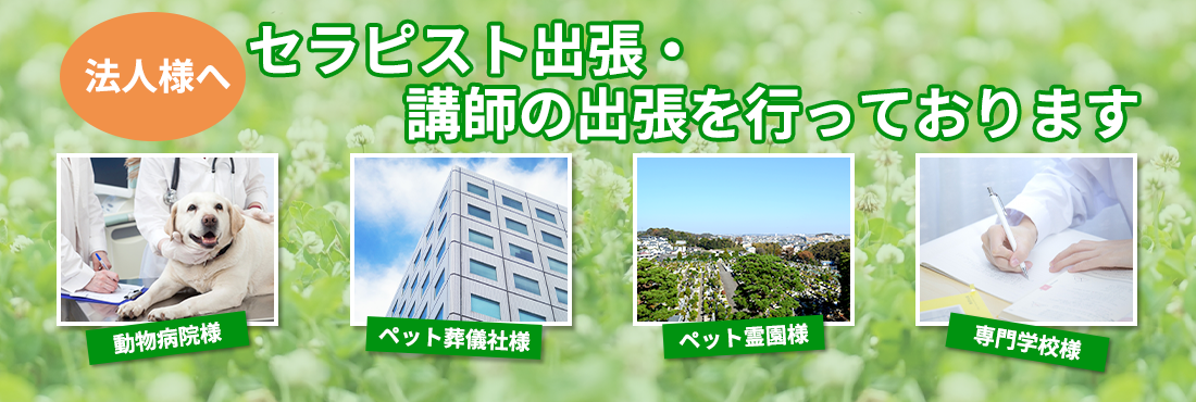 法人様へ　セラピスト出張・講師の出張を行っております