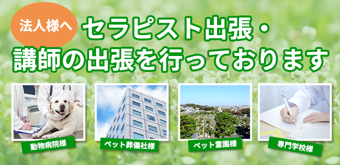 法人様へ　セラピスト出張・講師の出張を行っております