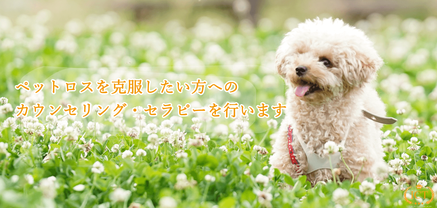 ペットロスを克服したい方へのカウンセリング・セラピーを行います