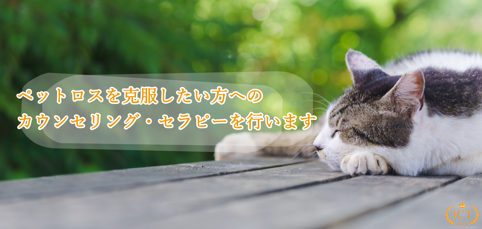 ペットロスを克服したい方へのカウンセリング・セラピーを行います